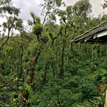 Shreegandha Homestay Somvarpet Exterior photo
